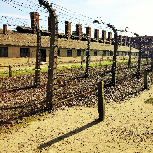 Fig. 5. Campo de concentración de  Auschwitz