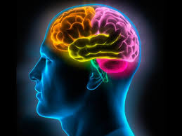 Asimetría en la actividad cerebral