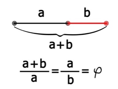F8.